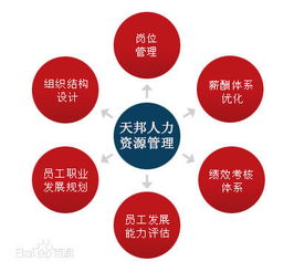 鄭州社保公積金代理、勞務派遣及人事外包服務市場概況